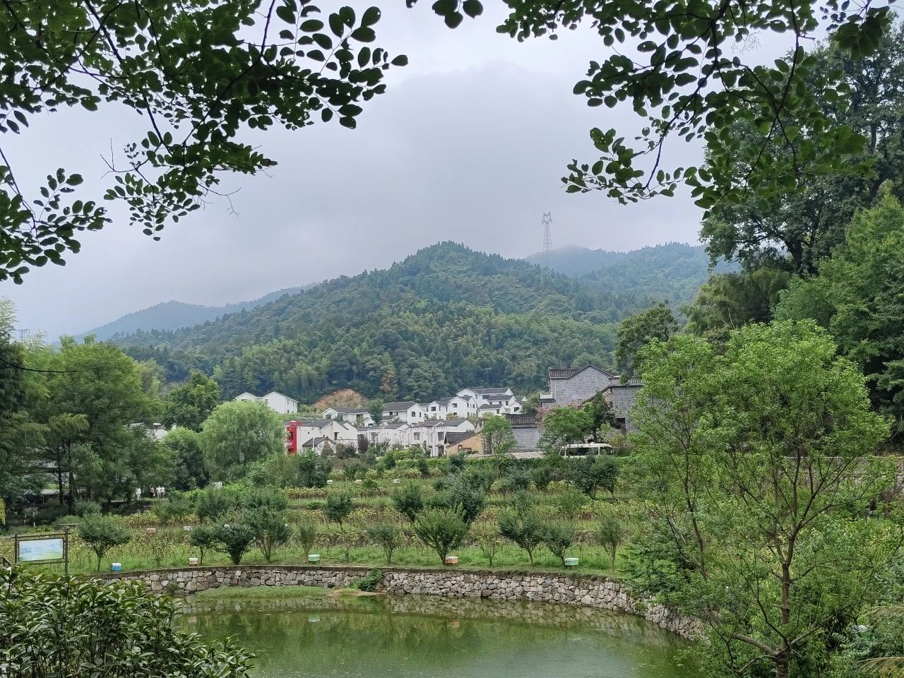 威尼斯人娱乐场官网