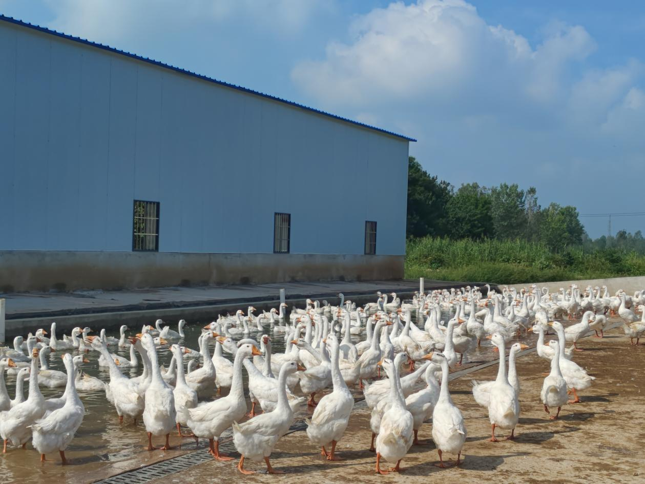 威尼斯人娱乐场官网